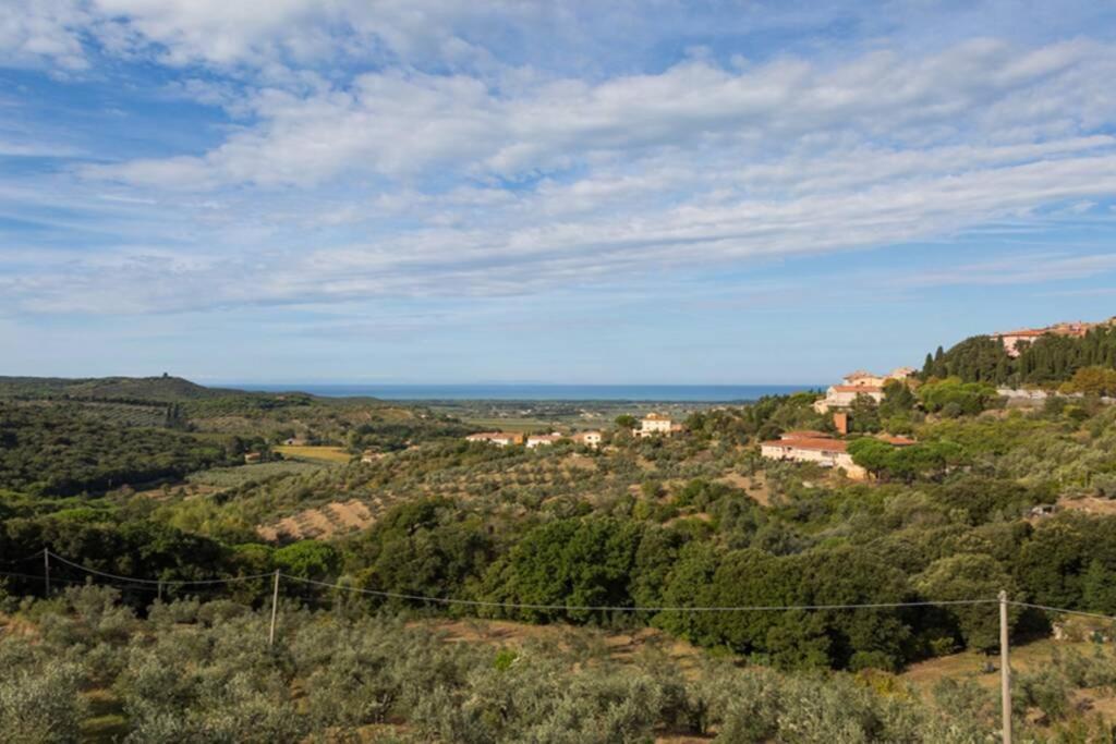 Toscana Mare/Collina Castagnaeto Carducci 카스타니에토카르두치 외부 사진