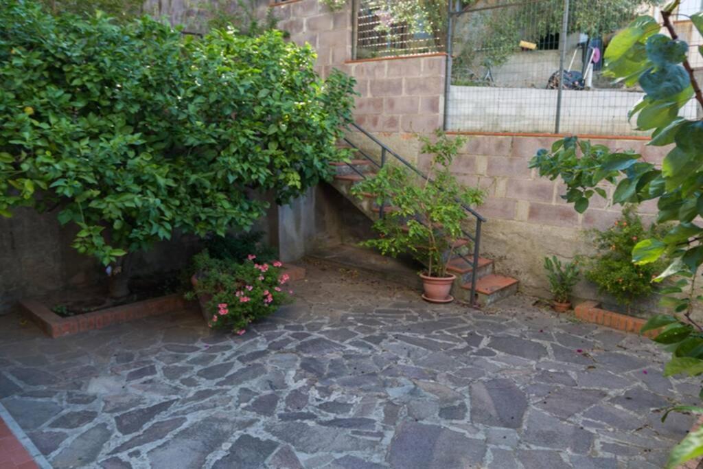 Toscana Mare/Collina Castagnaeto Carducci 카스타니에토카르두치 외부 사진