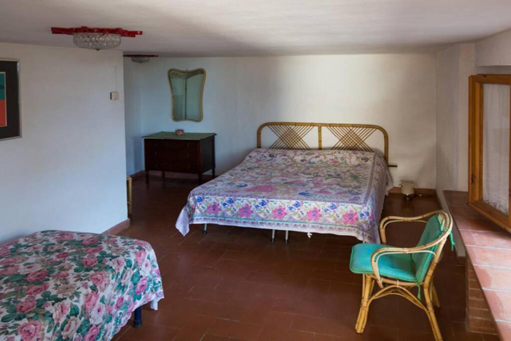 Toscana Mare/Collina Castagnaeto Carducci 카스타니에토카르두치 외부 사진
